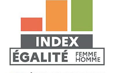 Index Egalité Femmes – Hommes du Groupe BETOM